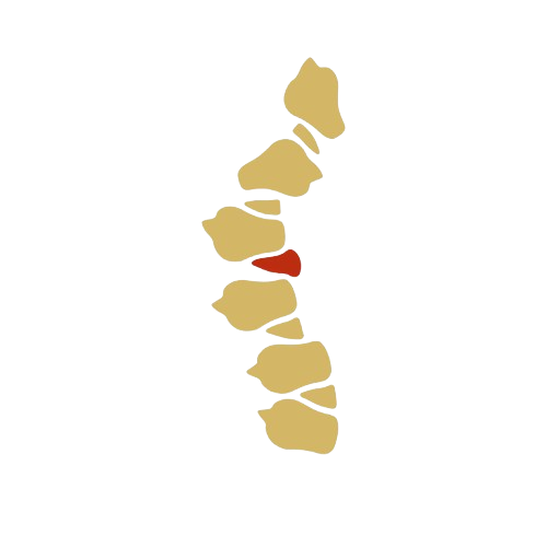 Degenerative Disc <span>Disease</span>
