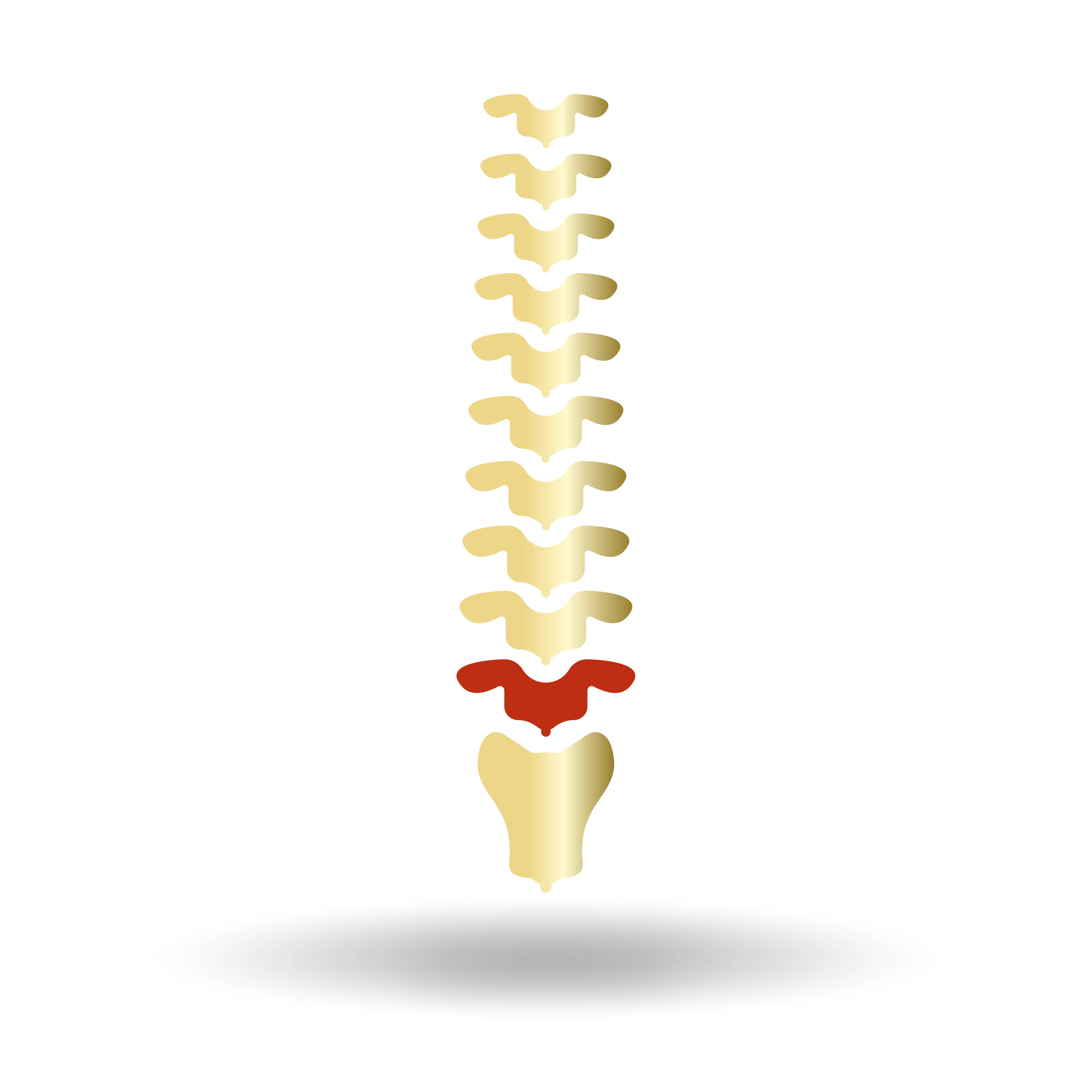 Spinal <span>Stenosis</span>